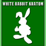 White Rabbit